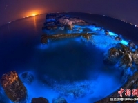 發現藍色「瑩光海」　宛如「阿凡達世界」？