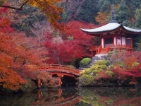 《2015遊客最愛城市TOP 10》第一名是位在日本的∼