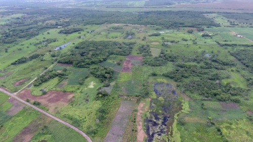 墨西哥1000年前最大「馬雅遺址」　浮誇程度不像人造建築