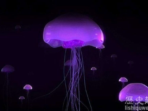 全球最致命5大動物分別是什麼?
