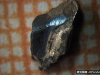 震驚全球！俄國發現「時空旅行者」不小心留下了3億年前的…