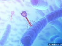 美國生物學家在人體內發現一種新型病毒“crAssphage”