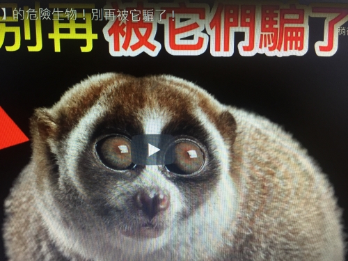 8個【可愛卻致命】的危險生物！別再被它騙了