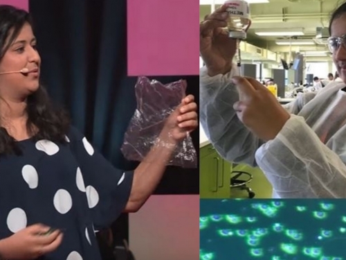 有望解決全球塑膠垃圾危機！少女的發明來自蝦殼