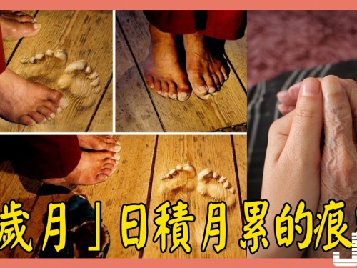 20張照片，竟能瞬間看出「歲月」日積月累的痕跡，相當震撼。