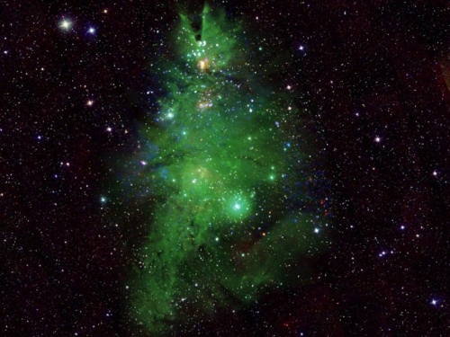 聖誕快樂！NASA 分享宇宙聖誕樹星團新影像