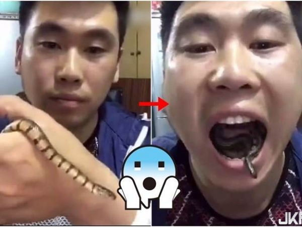 頭皮發麻！腦殘男為了「出名」竟生吞活蛇