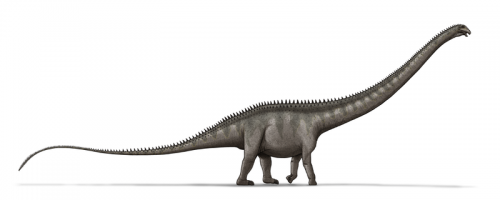 史上最長恐龍！超龍化石新組長度可達42公尺 超過3台遊覽車