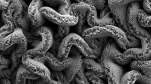 怎麼拉扯都可行，新型奈米碳管超級電容拉長 8 倍照能運作