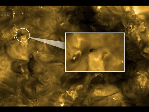 太陽表面有個巨大生物在移動？科學家：像水熊蟲，但可以解釋