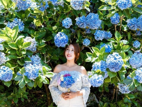 鮮花配正妹！特搜全台「網美必去」賞花景點 Top 3　「這裡」根本山中秘境！