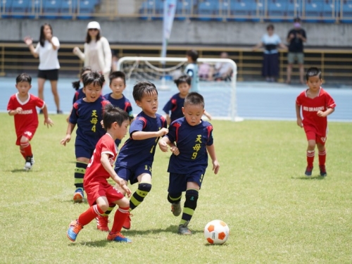 足球》老少運動闔家同樂 2020北市幼兒錦標賽圓滿落幕