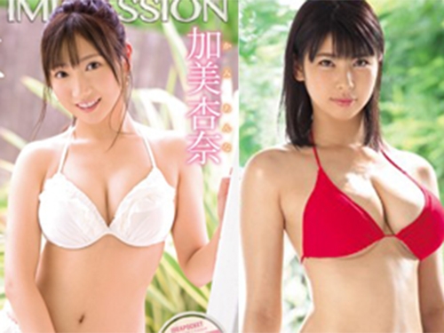 2019 12月新人女優速報 可口雪乳輩出！