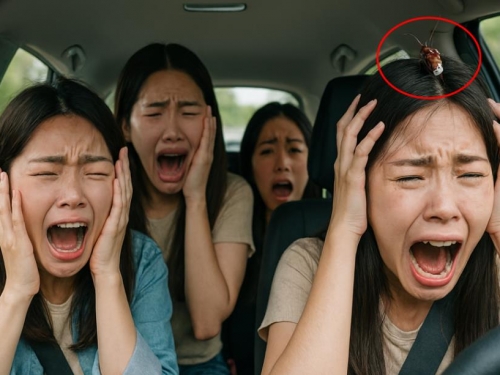 超恐怖！車上突驚見「小強」 引爆全車驚聲尖叫