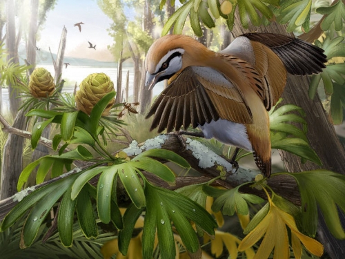 1.2億年前「鳥類化石」出土！可能是最早能「伸舌」的禽鳥類