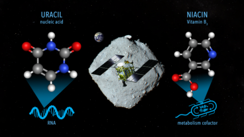 越多生命來自外太空證據，近地小行星樣本發現維生素 B3、RNA 化合物