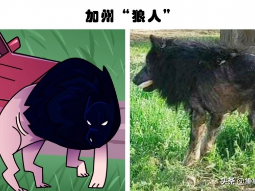 驚奇的巧合：人們在路邊湊巧發現的5個奇異事物