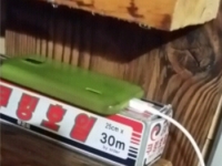 兒子偷用手機的偽裝術！其實老爸早就知情啦~(＞﹏＜)