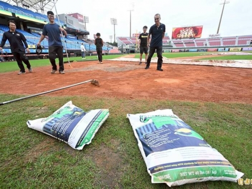 台灣大賽》搶救桃園球場大作戰 使用逾100包土、超過10萬元