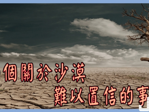 【常識】10個關於沙漠難以置信的事實