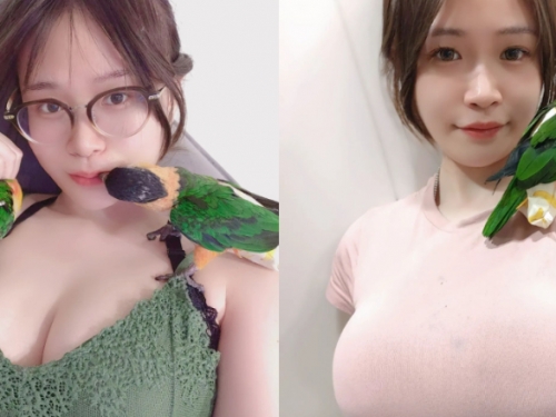 巨乳正妹「乃米nainai」給愛鳥站上滿滿的奶奶大平台！