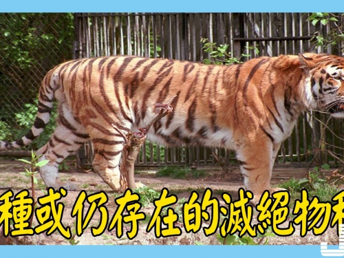 5種或仍存在的滅絕物種，第3種在中國被發現多次
