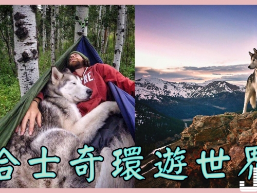 美國男子辭掉工作，帶著二哈環遊世界，逗比狗狗被封最愛探險的二哈