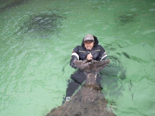 英國海釣捕180公斤「怪物級」比目魚 太重無法上船只好跳海合照