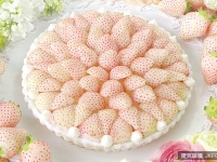 品嚐初戀酸甜滋味 浪漫奢華的白草莓蛋糕