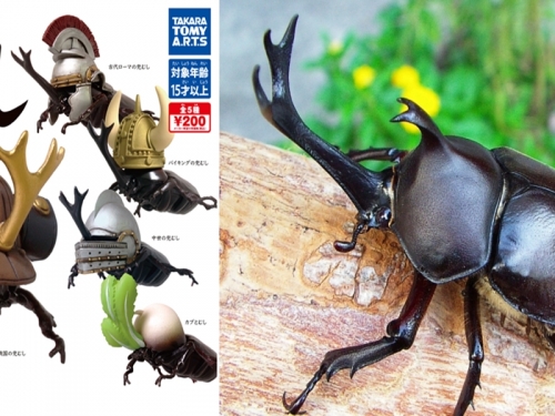 重裝上陣！　T-ARTS推出甲蟲界王者主題「盔甲・蟲」扭蛋系列！