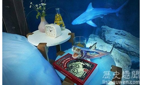 世界上第一個水下臥室:和鯊魚同眠