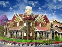 杜拜奇蹟花園耗費4500萬株鮮花　美豔奪目