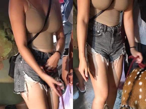 豪乳妹街頭遛鹿爆紅！「渾圓雙峰照」引發網友肉搜　真實身分終於曝光