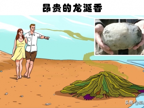 沙灘上的奇怪發現：人們在沙灘上所找到的5個奇怪的發現