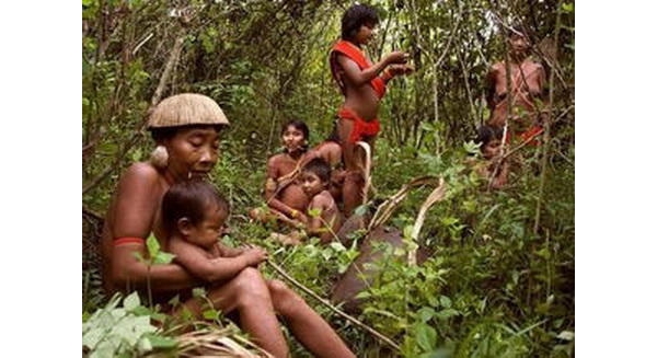 他們是全世界唯一的「啞巴」民族，與世隔絕！！在原始森林裡，竟然以「這種東西」為食...！！