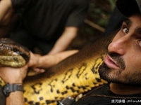 美國野生動物專家自願被水蟒生吞 用攝像頭拍攝水蟒身體內部結構