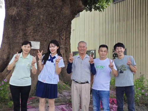 中職》啦啦隊女神李多慧來了 彰化地方期待老茄苳化身李多慧樹成打卡熱點
