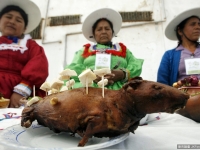 世界食物之最，你知道最臭的是什麽嗎？