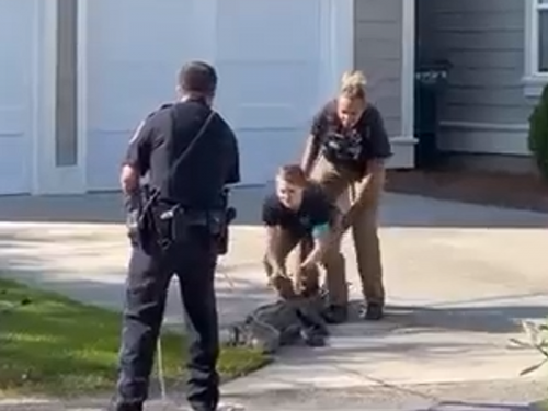 逮捕「鱷」客！鱷魚逛大街 女警飛撲壓制畫面瘋傳