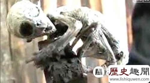 揭祕墨西哥外星人寶寶的背後陰謀