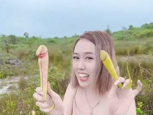 好害羞！女性大玩「陰莖植物」 柬埔寨政府出面制止