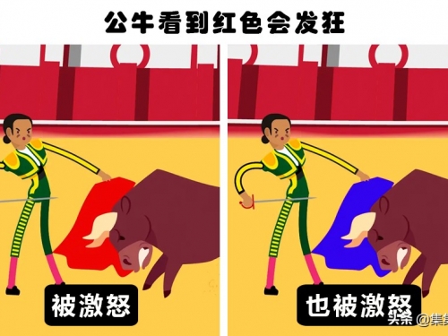 謬論揭秘：一直以來，你可能總在相信著的6個動物謬論