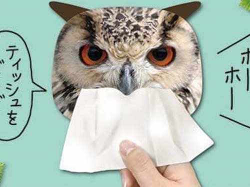 寫實動物風！　扭蛋廠商IP4推出「從動物嘴裡抽面紙？！面紙包」系列扭蛋！
