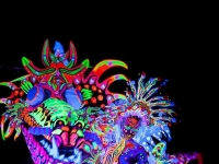 比空氣吉他還蠢！全球秀下限比賽大全