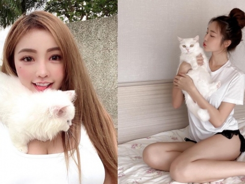 主人和寵物都讓人想疼！盤點台灣 4 位「愛貓系」網紅