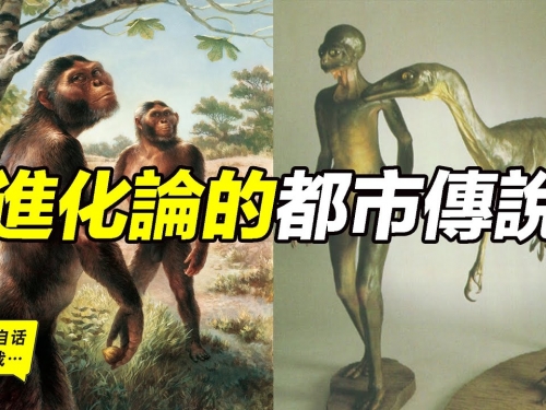 源自進化論的都市傳說比一切都市傳說都驚悚，如果恐龍持續進化會是什麼結果？|自說...