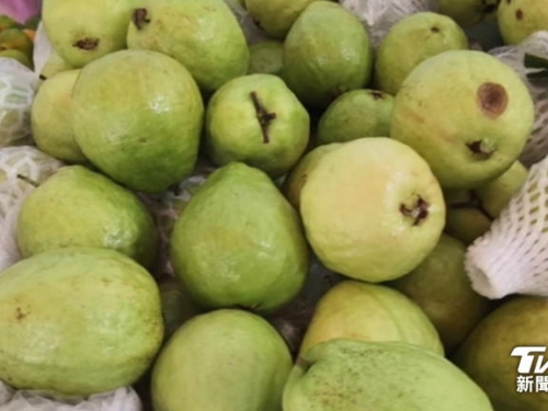 芭樂貴桑桑！ 內湖2顆破百元 天母3顆600元