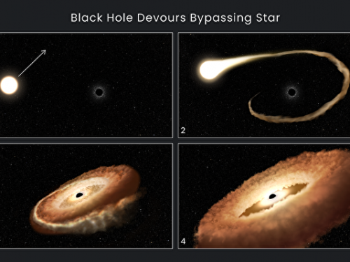 恆星被黑洞吞噬最後時刻 NASA公布震撼視頻