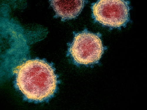 巴西完成首例武漢肺炎病毒基因定序，發現突變