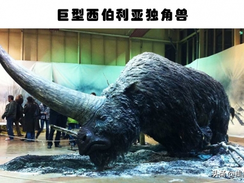 奇特的滅絕生物：人類或許會慶幸已經滅絕的7個可怕生物